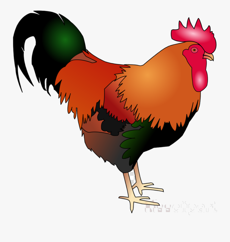 Chicken Rooster Bird Transparent Image Clipart Free - Chicken Clipart, Transparent Clipart