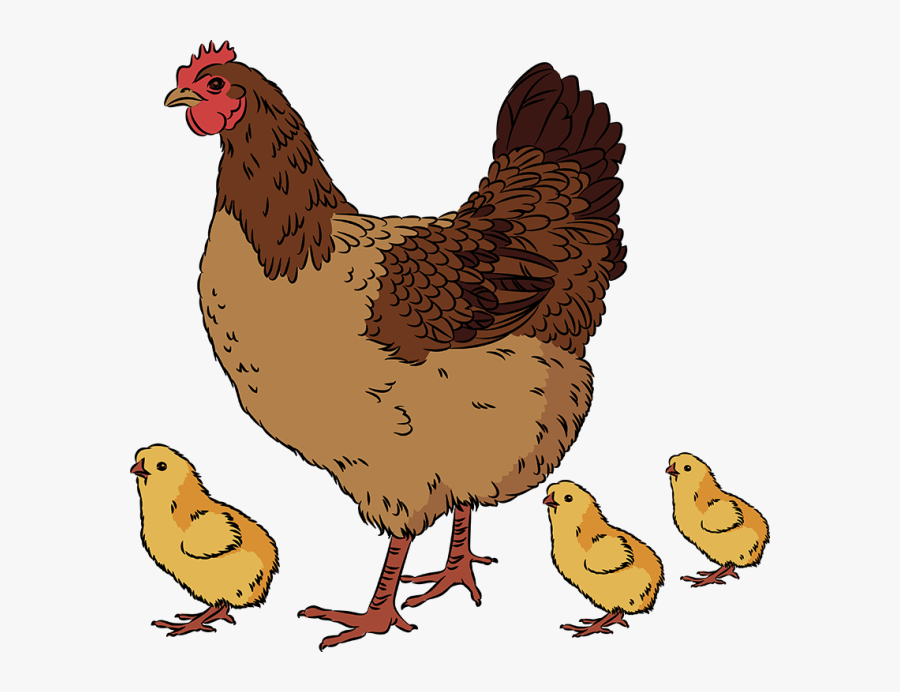 Clip Art Of A Hen And Her - Hen And Chicks Png, Transparent Clipart