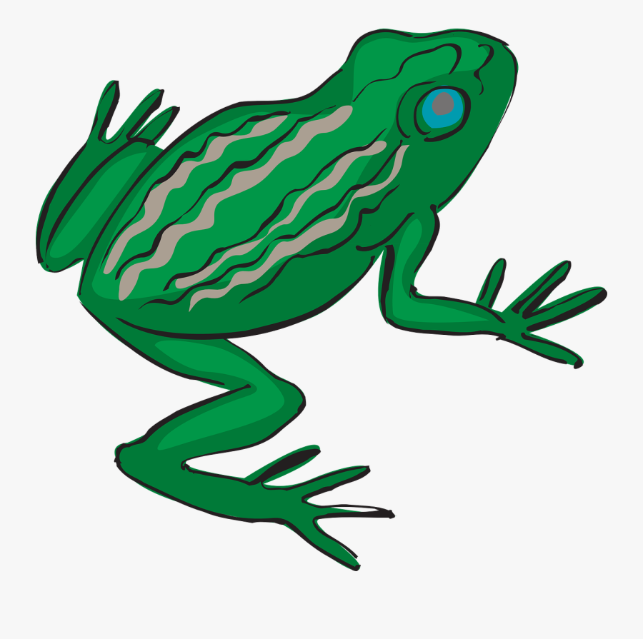 Green Frog Clipart Bull Frog - Frog's Legs Clipart, Transparent Clipart