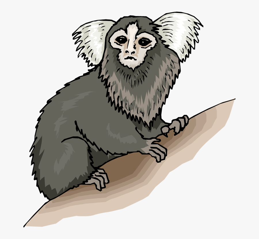 Marmoset Clip Art, Transparent Clipart