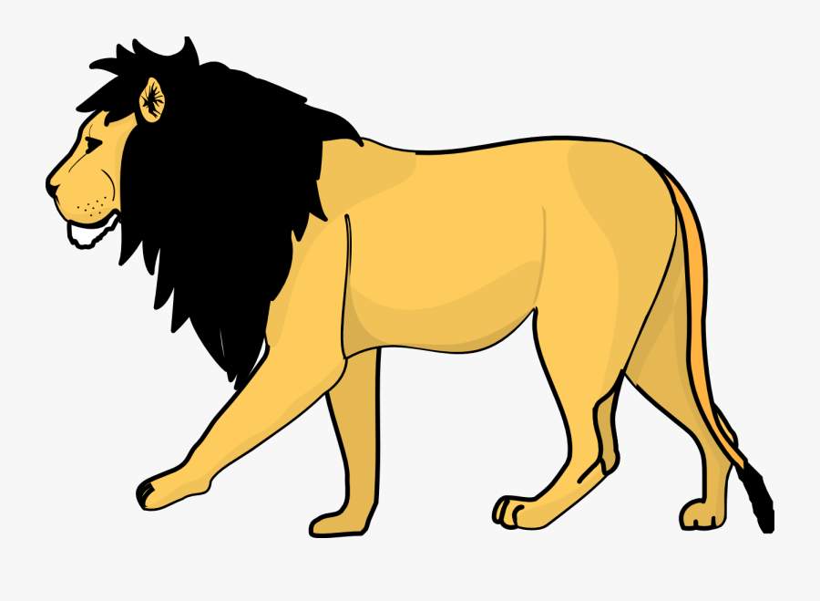 Lion Clip Art Free Vector Clipartbold - Food Chain Of Grass Deer Lion, Transparent Clipart