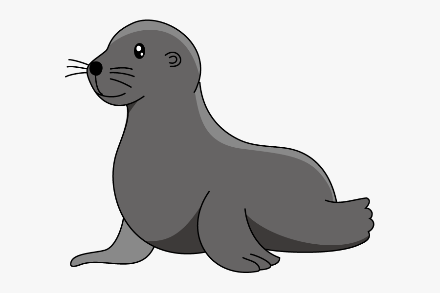 Sea Lion Clipart Sea Lion Clipart Cute Pencil And In - Clip Art Sea Lion, Transparent Clipart
