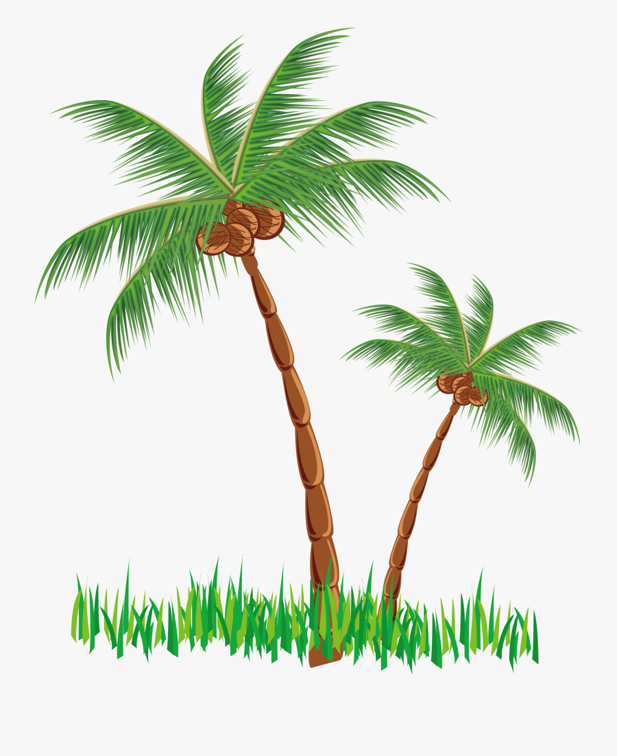 Cattle Hut Clip Art - Clip Art Coconut Palm Png, Transparent Clipart