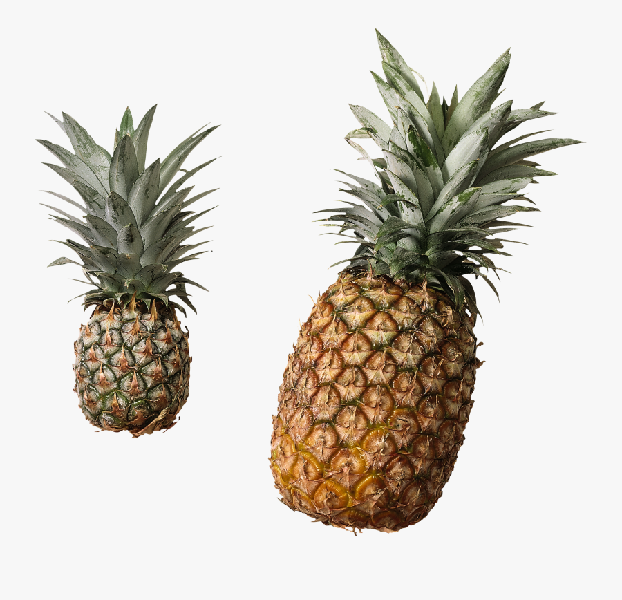 Best 25 Pineapple Clipart Ideas On Mzayat - Fresh And Canned Pineapple, Transparent Clipart