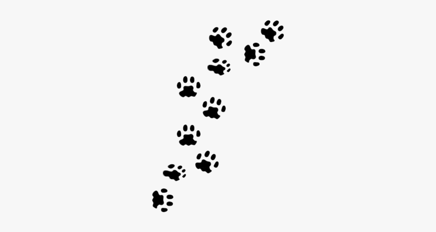 Paw Print Dog Prints Clip Art Free Vector Patitas De - Paw Prints Png, Transparent Clipart