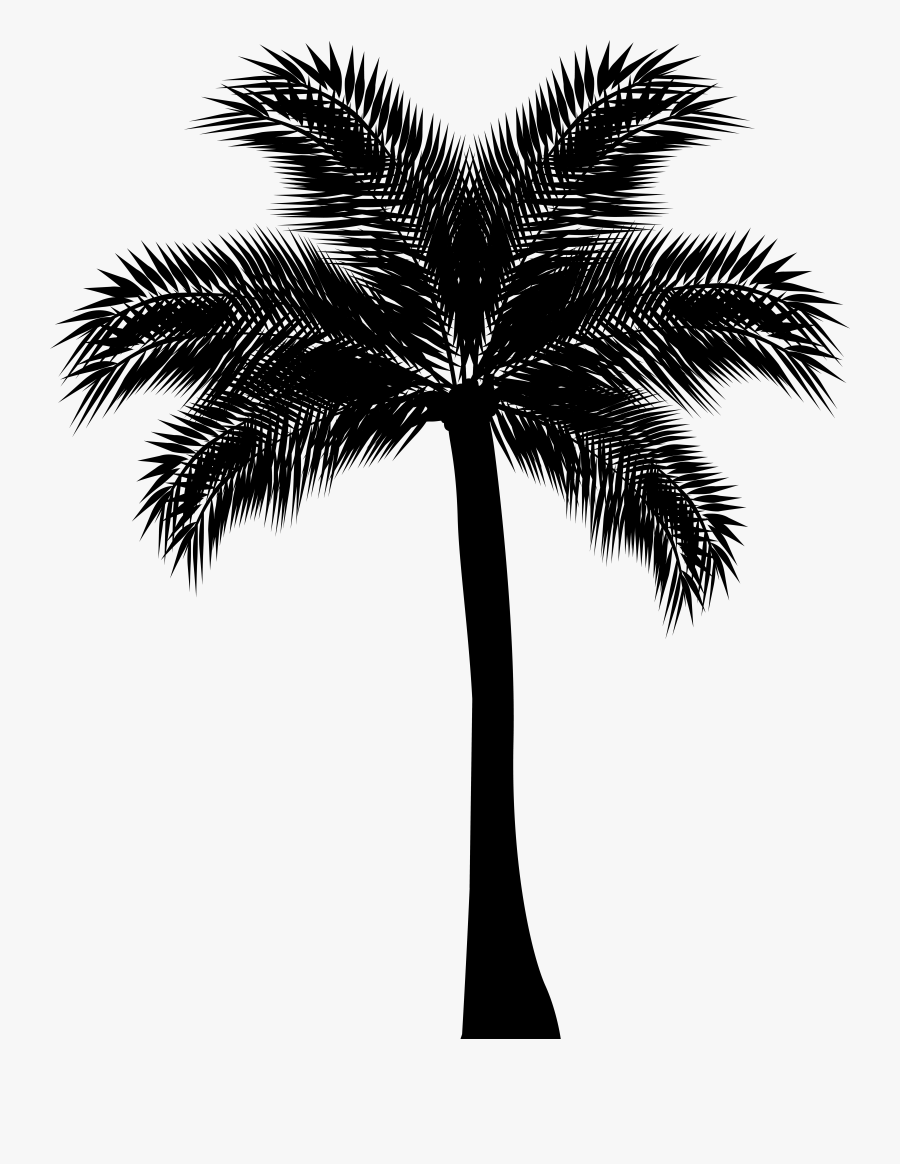 Palm Tree Clip Art, Transparent Clipart