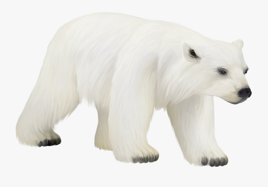 Large Painted Png Polar Bear Clipart Polar Bear Clipart Png