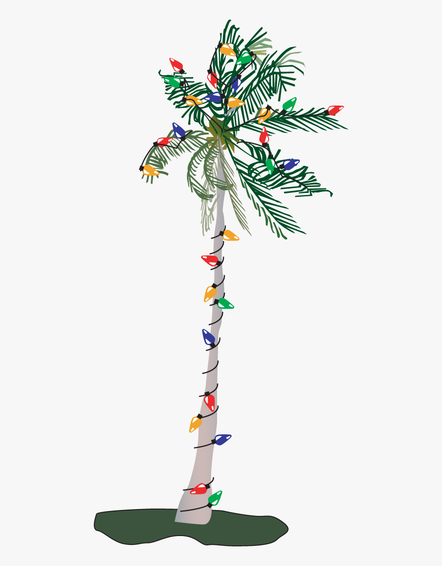 Palm Tree With Christmas Lights Clipart - Christmas Palm Tree Png, Transparent Clipart