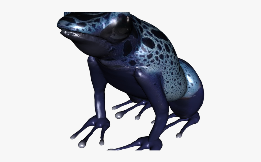 Poison Dart Frog Clipart Rainforest Frog - Poison Dart Frog Transparent Background, Transparent Clipart
