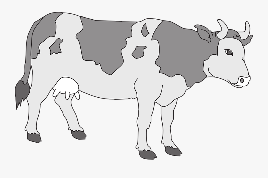 Cute cow outline