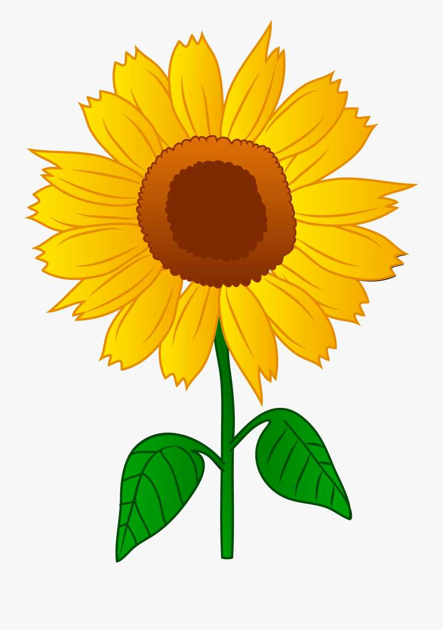 Sunflower Clipart Png - Clip Art Of Sunflower, Transparent Clipart