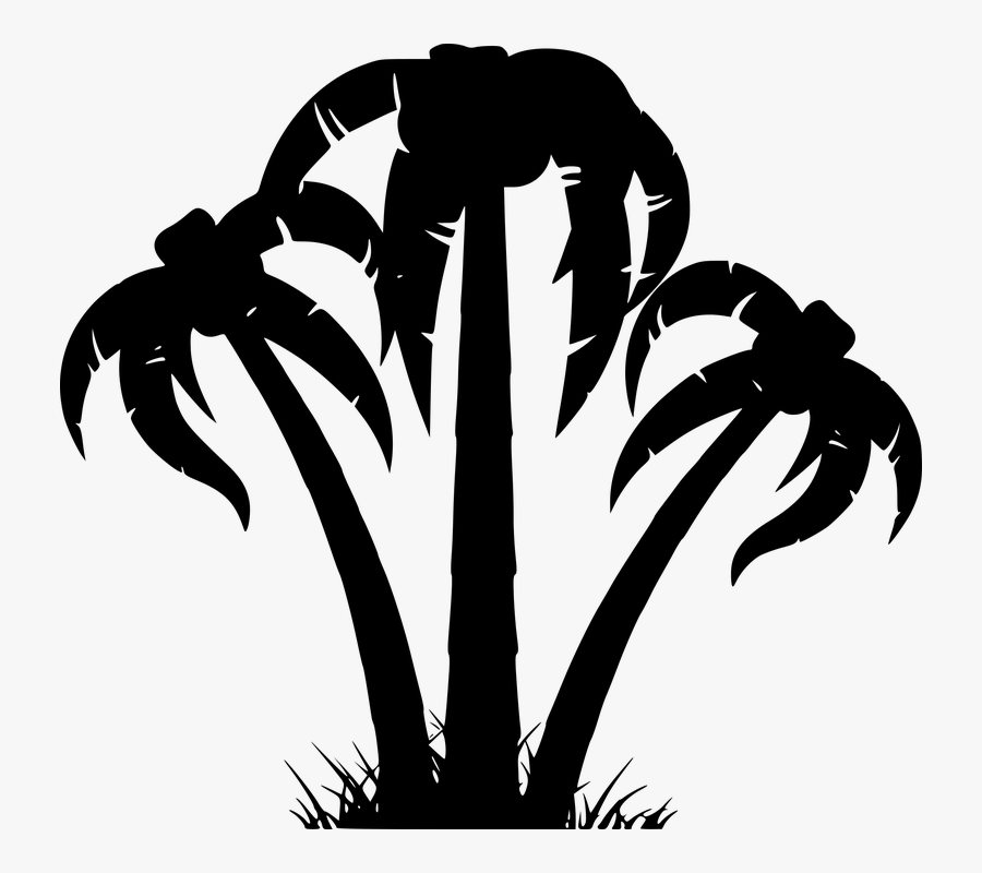 Silhouette Tree Palm Tribe Aesthetic Branches - Palm Tree Clip Art, Transparent Clipart