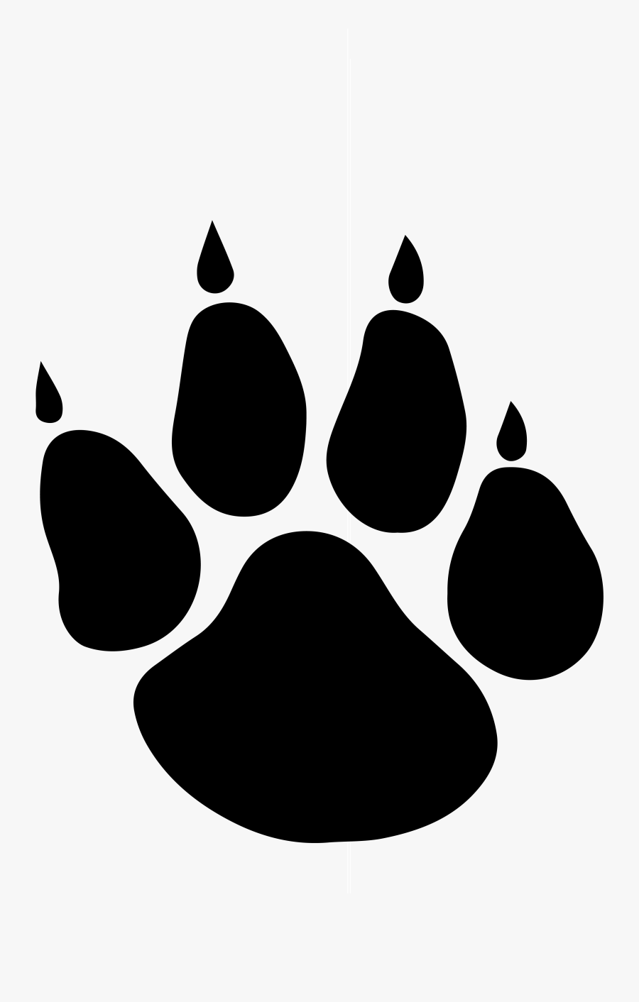 Clip Art Husky Paw - Wolf Paw Print Compared To Dog, Transparent Clipart