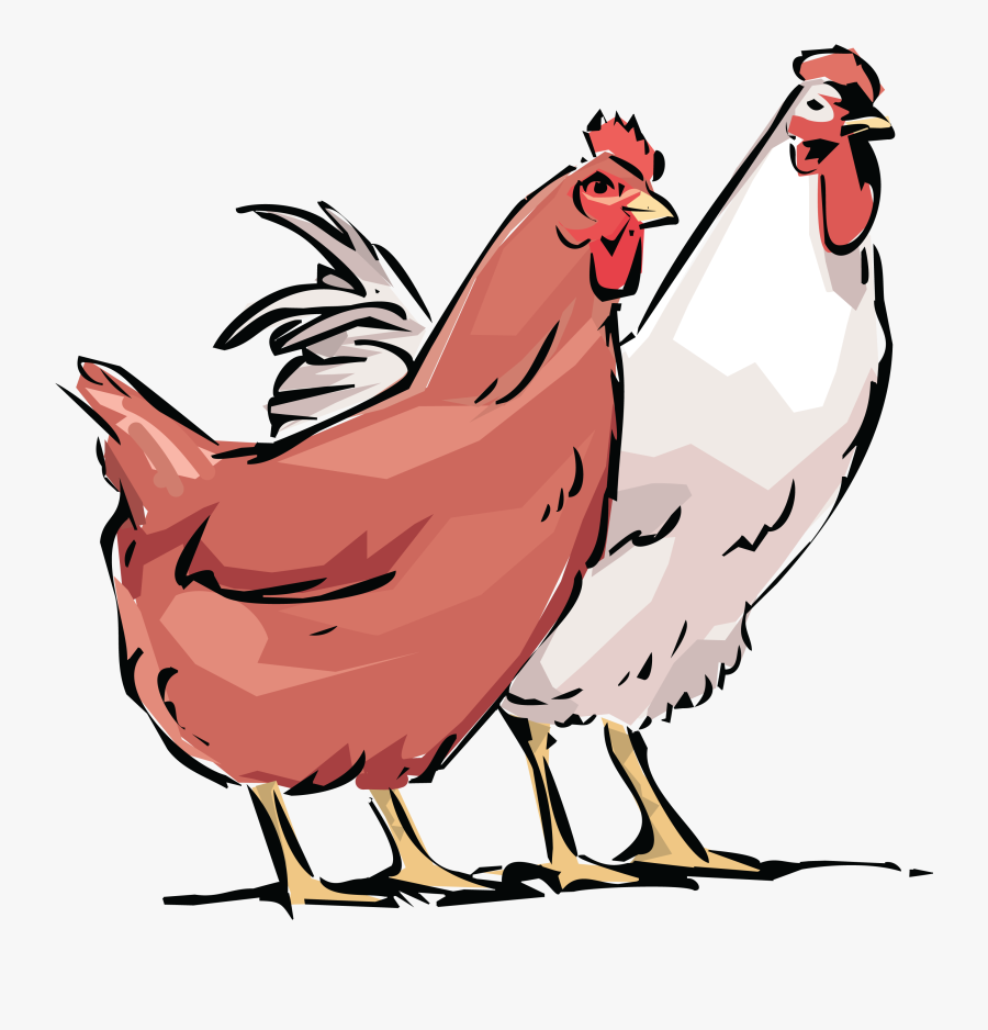 Free Clipart Of A Chicken Hen And Rooster - Rooster And Hen Clipart, Transparent Clipart