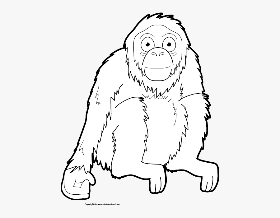 Line Art, Transparent Clipart