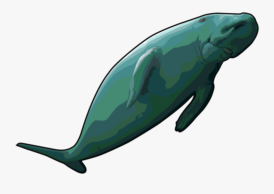 Free Whale Clipart Black And White - Dugong Clipart, Transparent Clipart