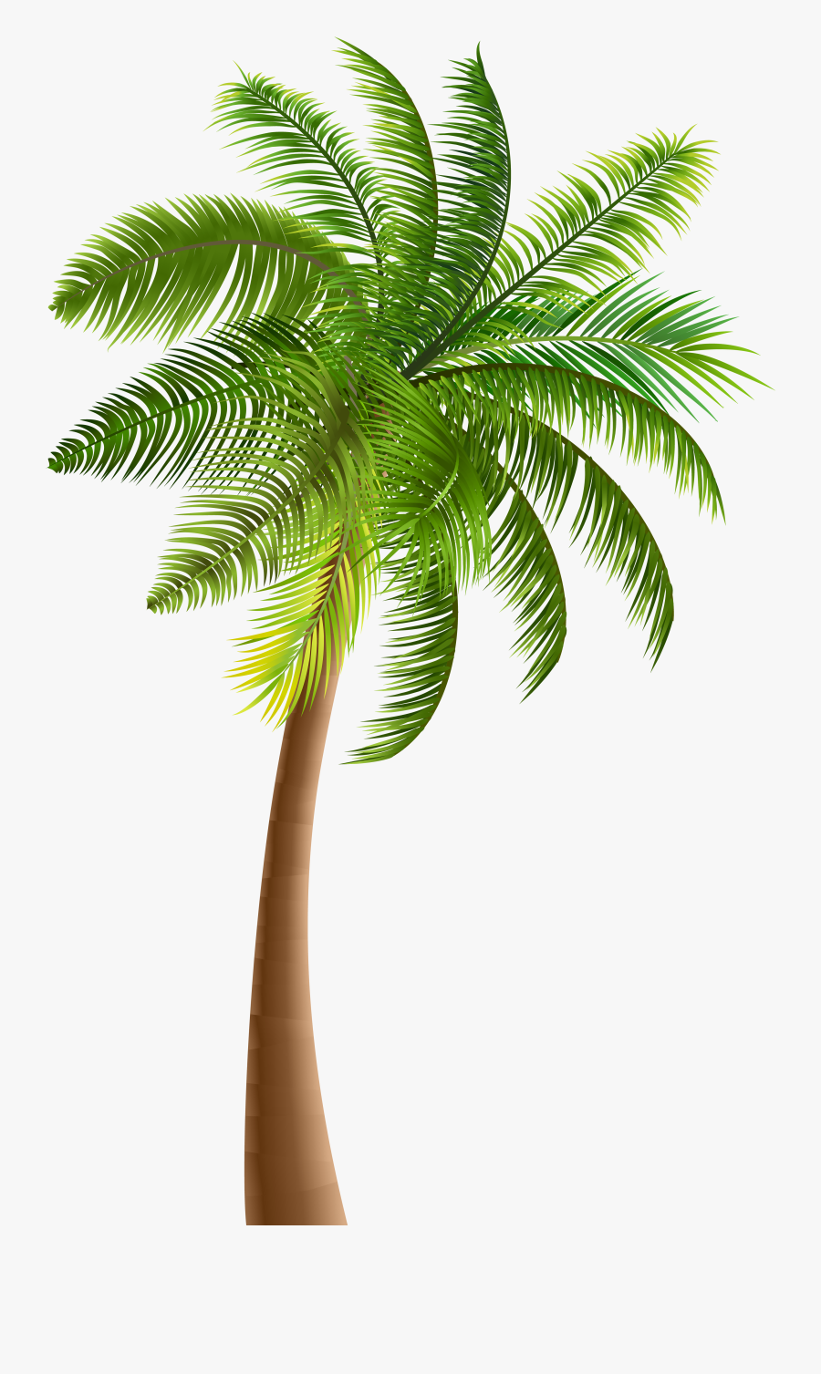 Palm Trees Clip Art - Clipart Palm Tree Png, Transparent Clipart