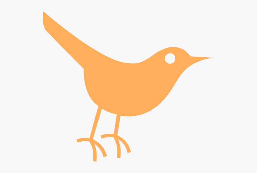 Birds Clipart Orange - Twitter Bird Icon, Transparent Clipart