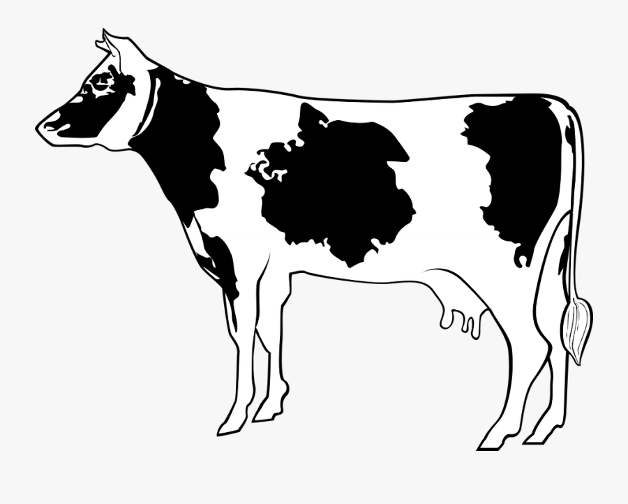 Cow, Livestock, Cattle, Farm, Animal, Beef, Milk - Cartoon Cow Side View, Transparent Clipart