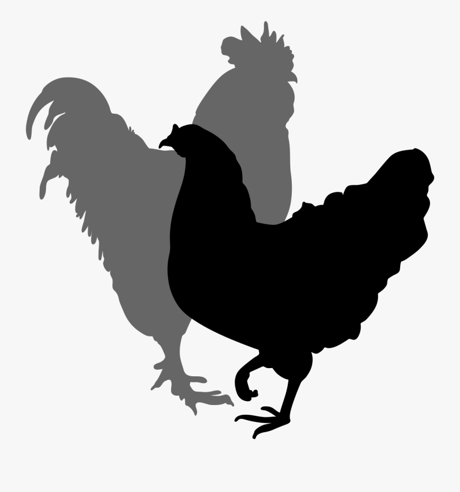Chicken Silhouette Clip Art - Rooster And Hen Black And White, Transparent Clipart