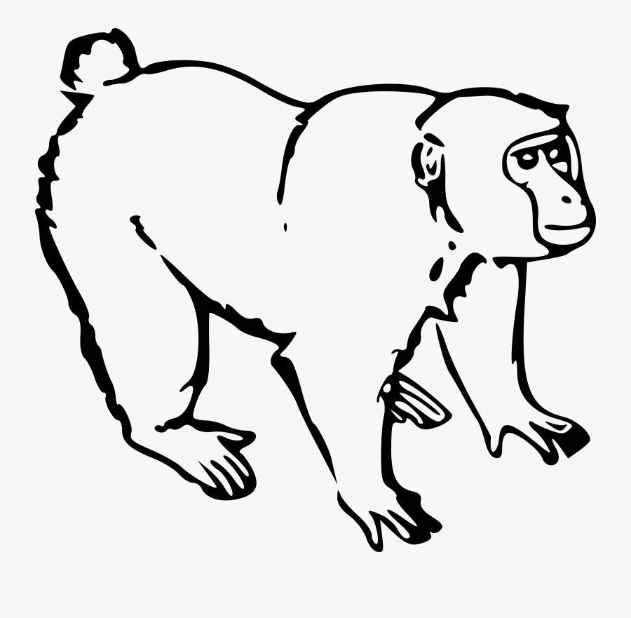 Gorilla Ape Big Image - Outline Of A Monkey, Transparent Clipart