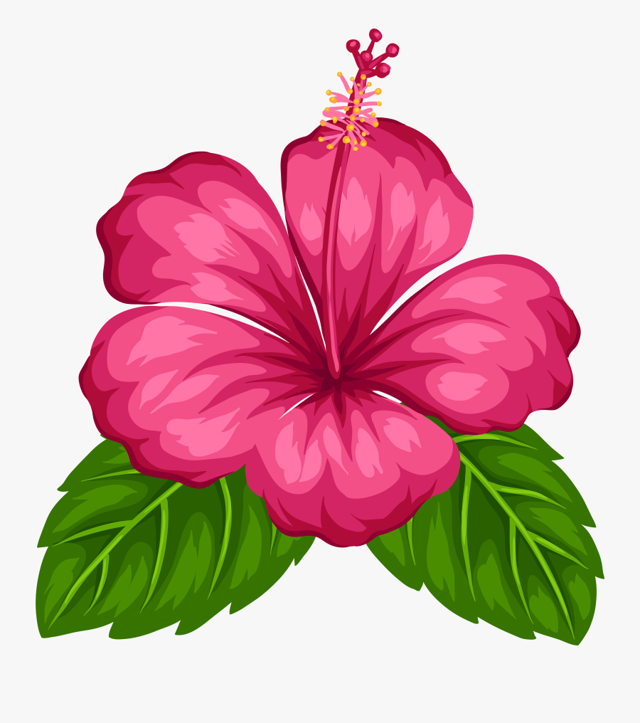 Exotic Flower Png Clip Art, Transparent Clipart