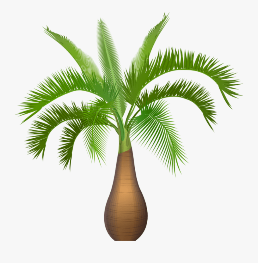 Palm Tree Plant Png Clip Art Image - Palm Tree Plant Clipart, Transparent Clipart