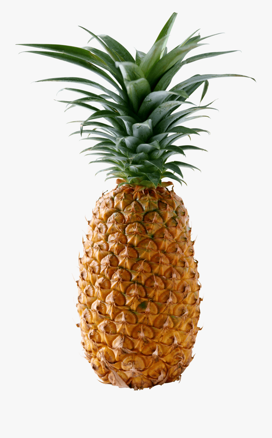 Transparent Images Mart - Pineapple Png, Transparent Clipart