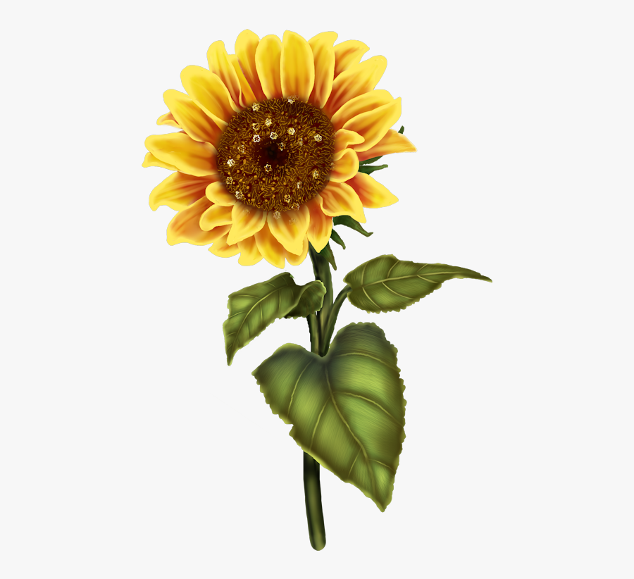 Sunflower Clip Art - Never Ruin A Good Day With A Bad Yesterday, Transparent Clipart