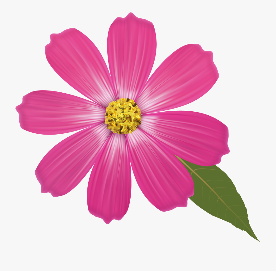 Pink Flower Png Clipart - Flower Drawing Colour Pencil, Transparent Clipart