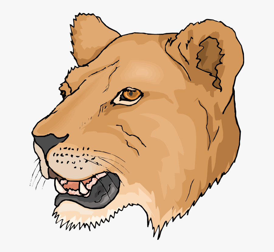 Free Lion Clipart - Lioness Clipart, Transparent Clipart