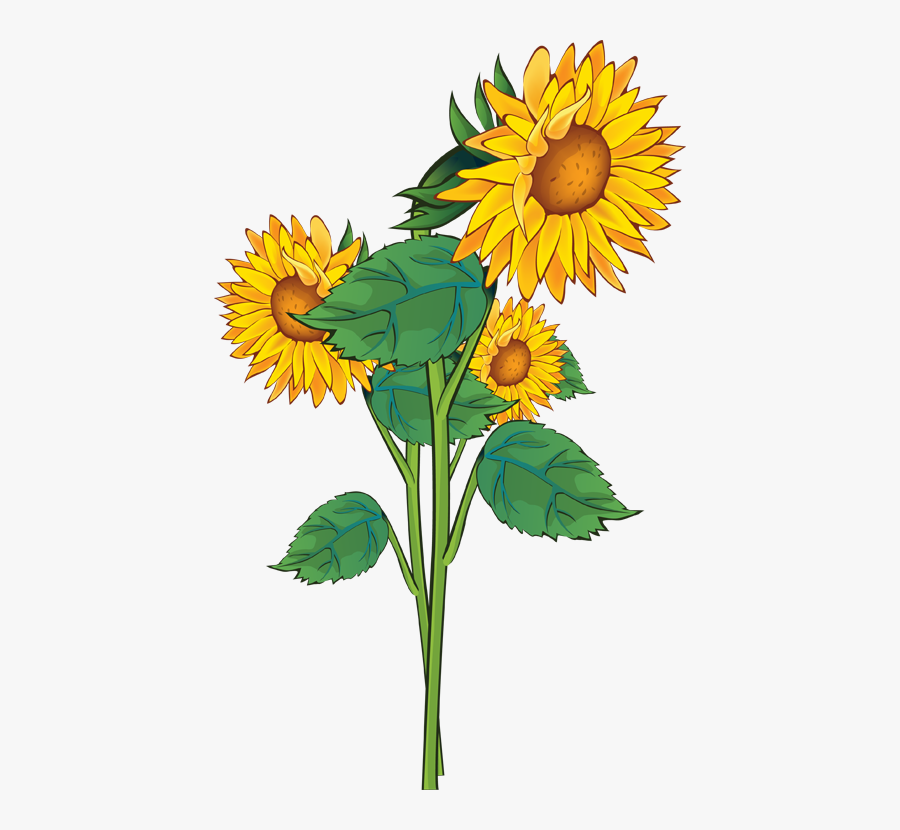 Sunflower Clip Art With Clear Background - Sunflower Clipart, Transparent Clipart