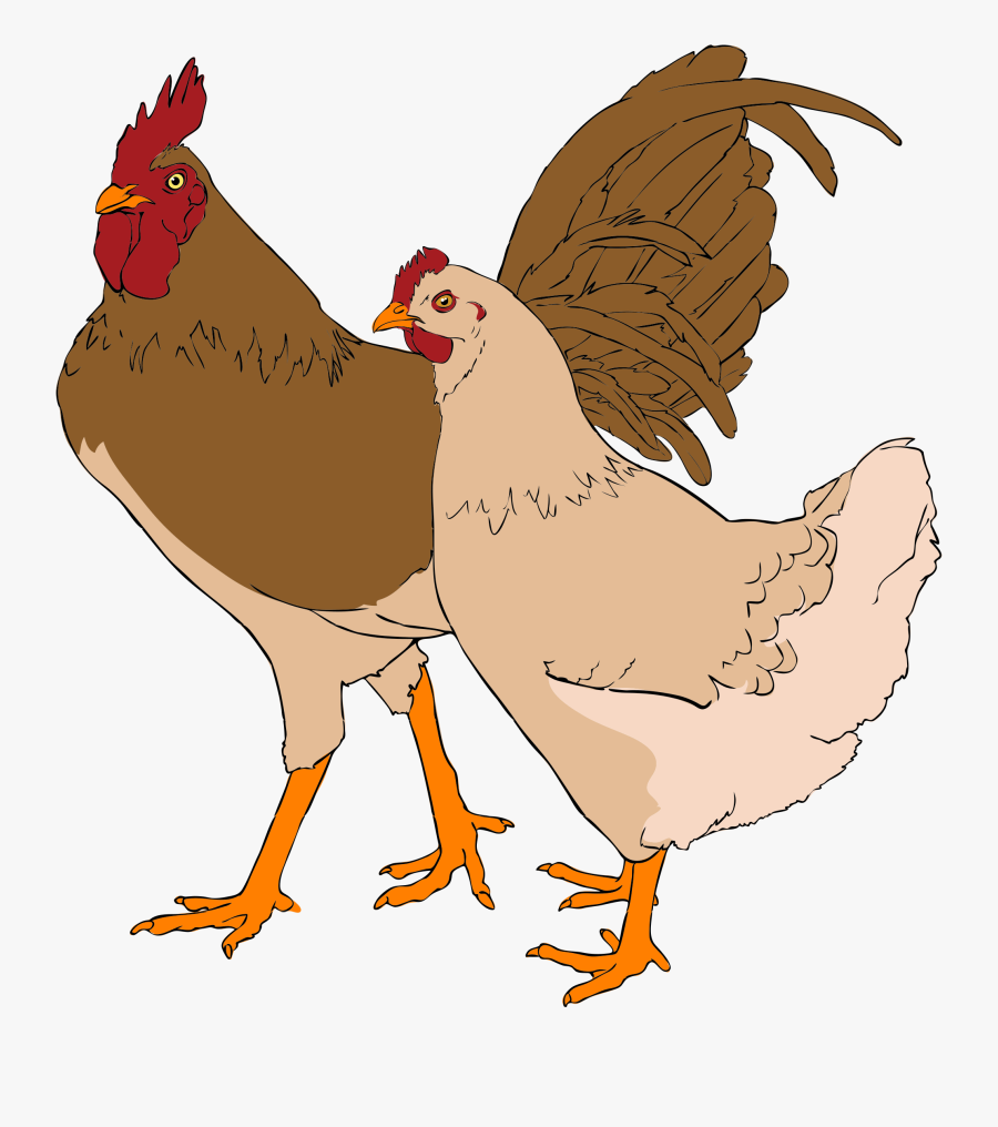 Rooster And Hen Clipart, Transparent Clipart
