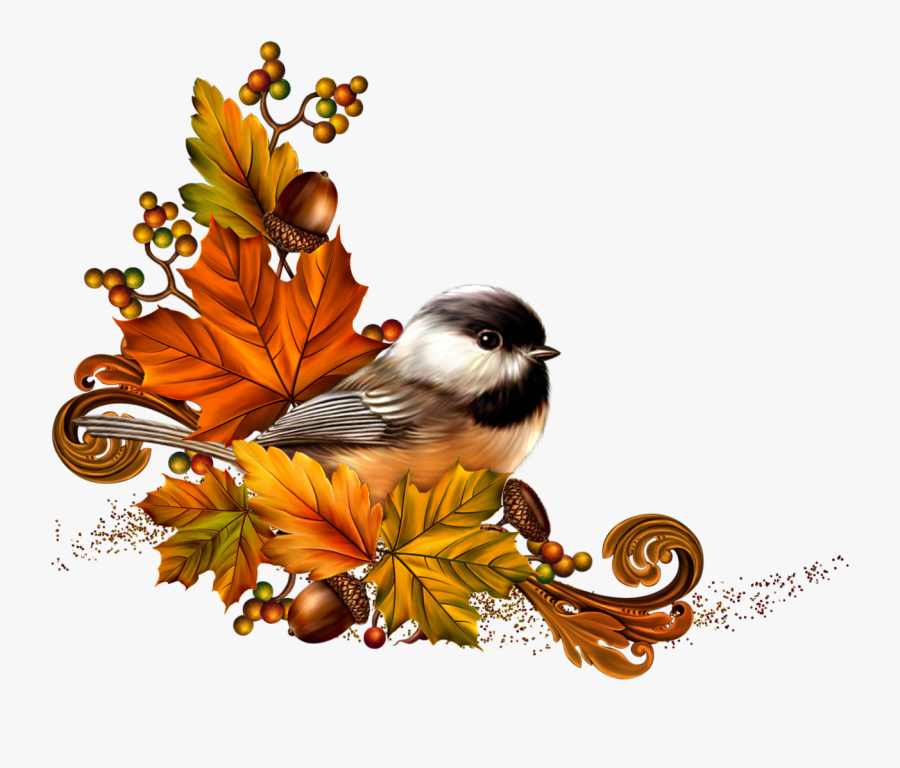 Autumn Elegance Spring Birds, Leaf Clipart, Bird Clipart, - Illustration, Transparent Clipart