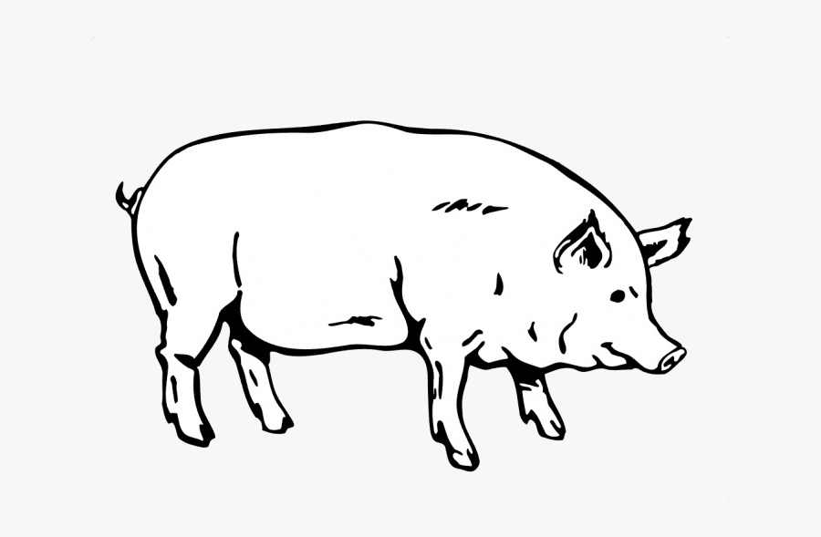 Pig Clipart Sketch X Transparent Png - Realistic Pig Clipart Black And White, Transparent Clipart