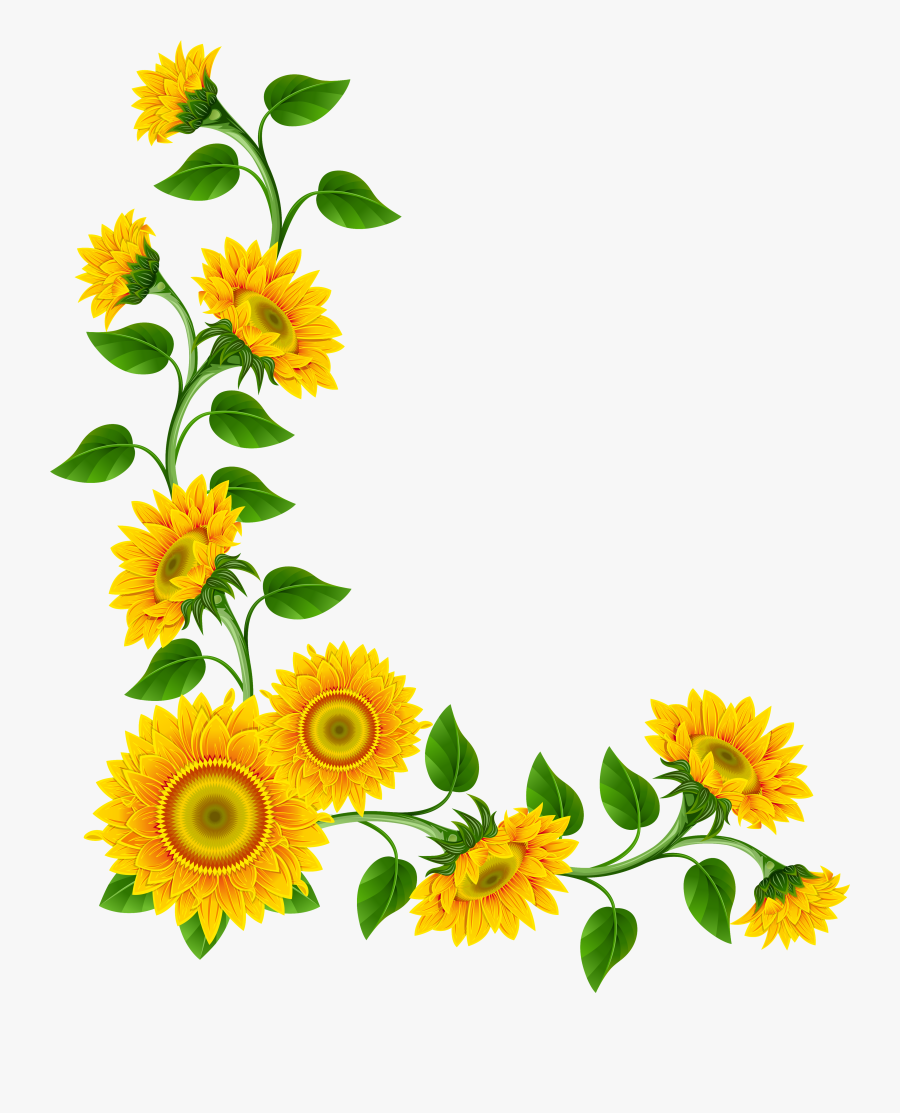 Sunflower Clipart, Transparent Clipart
