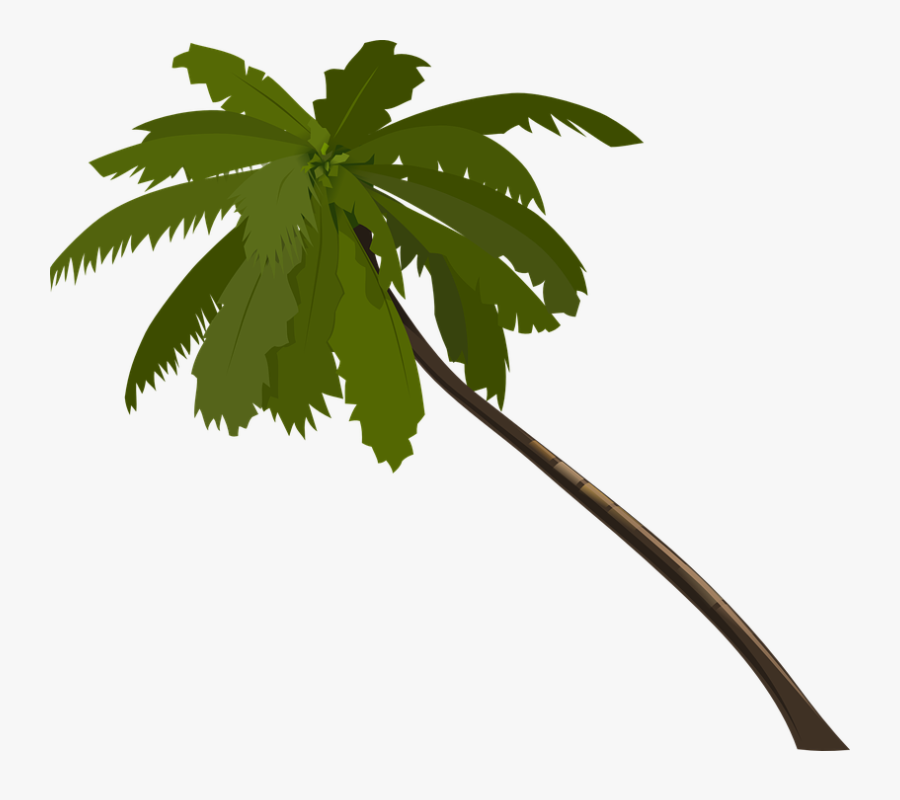 Palm Tree Clipart Brown - Palm Tree Animated Png, Transparent Clipart