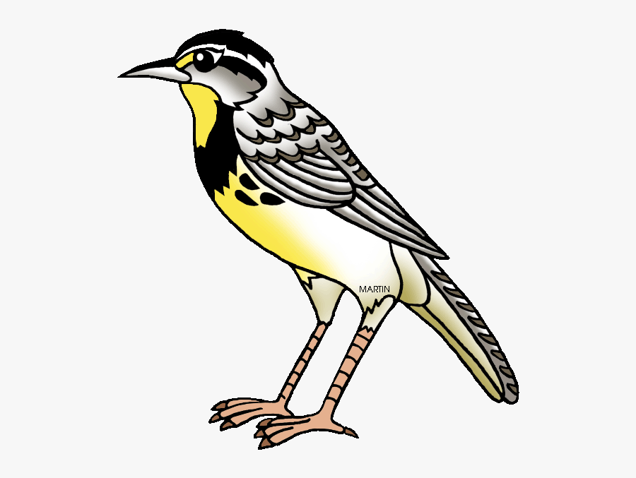 Top 92 Lark Clip Art - Oregon State Bird Drawing, Transparent Clipart