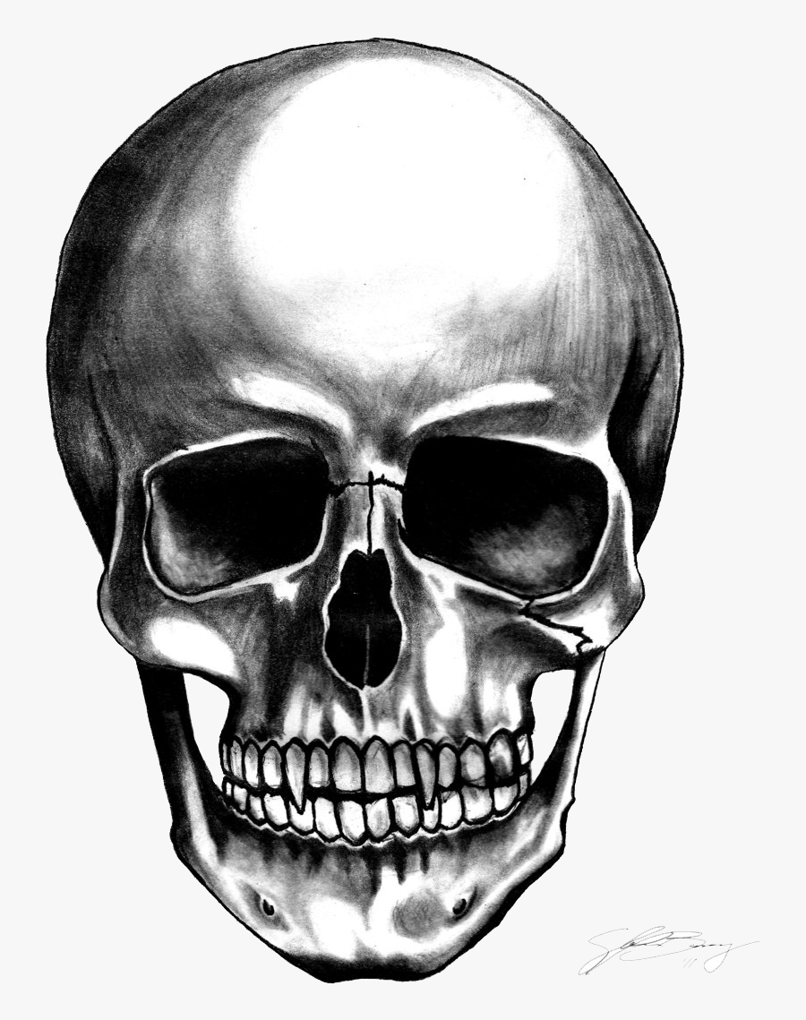 Skull Clipart Transparent - Skull On Transparent Background, Transparent Clipart