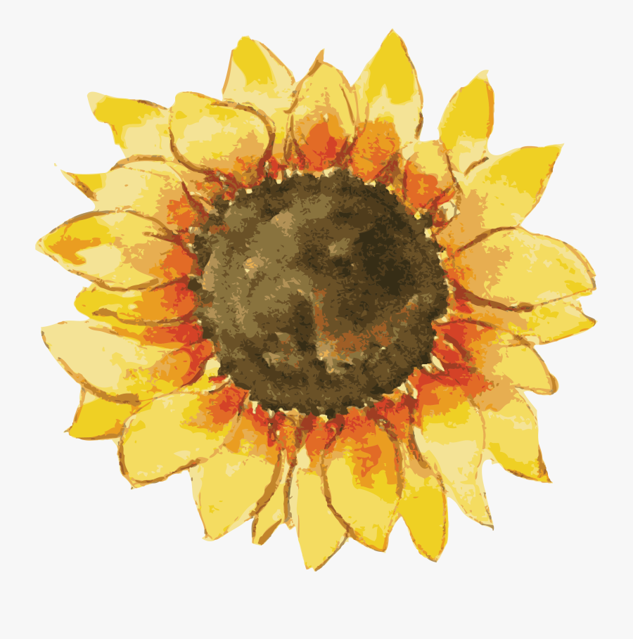 Transparent Watercolor Sunflower Png - Watercolor Sunflower Transparent Background, Transparent Clipart