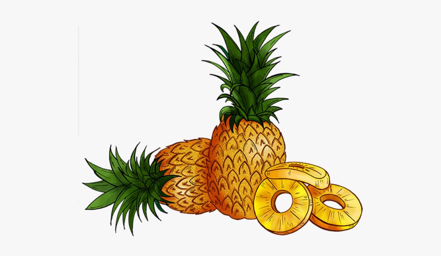 Clipart Banner Pineapple - Transparent Background Pineapple Cartoon Png, Transparent Clipart