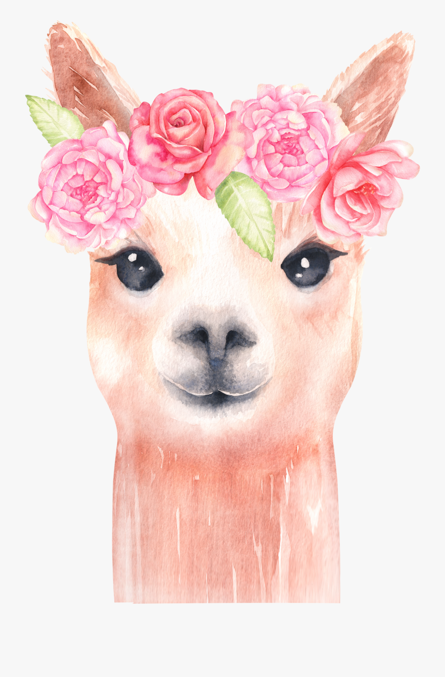 Llama cute clipart svg cricut file misskatecuttables llamas transparent silhouette alpaca cut animal cuts birthday cuttables kate miss scrapbook Sunglasses Clipart Llama - Transparent Llama Clipart , Free Transparent Clipart - ClipartKey