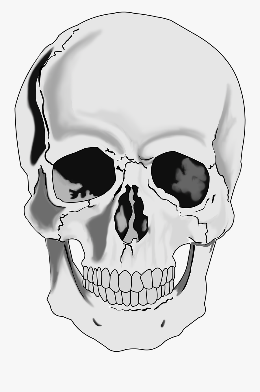 Skull Clip Art - Realistic Skull Clipart, Transparent Clipart