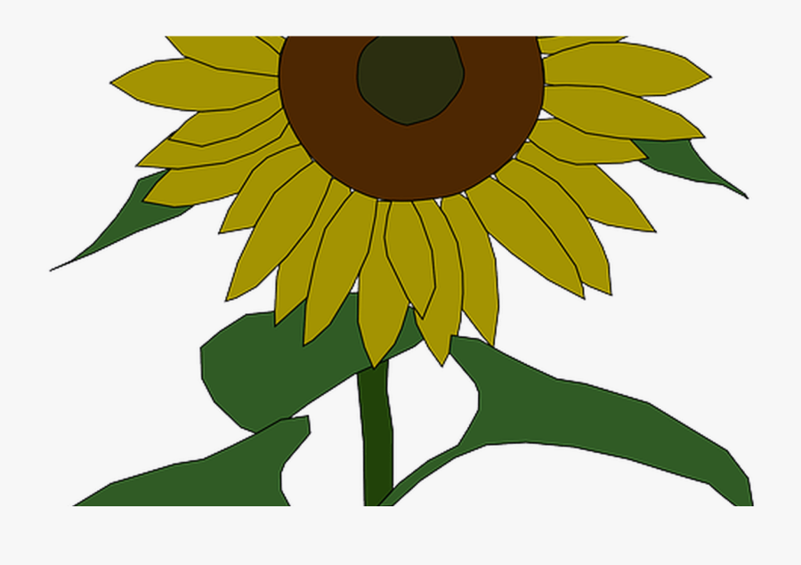 Outline, Yellow, Drawing, Plants, Sun, Flower, Flowers - Clipart Sunflower, Transparent Clipart