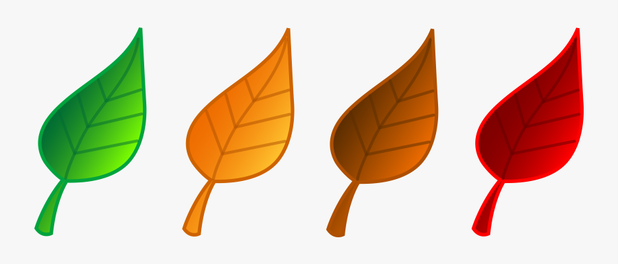 Fall Leaves Fall Leaf Clipart Free Clipart Image - Colored Leaves Clip Art, Transparent Clipart