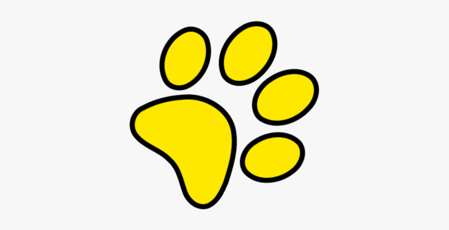 Circle, Transparent Clipart