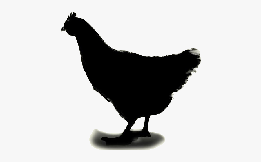Chicken Png Hd Image, Transparent Chicken Clipart - Rooster, Transparent Clipart