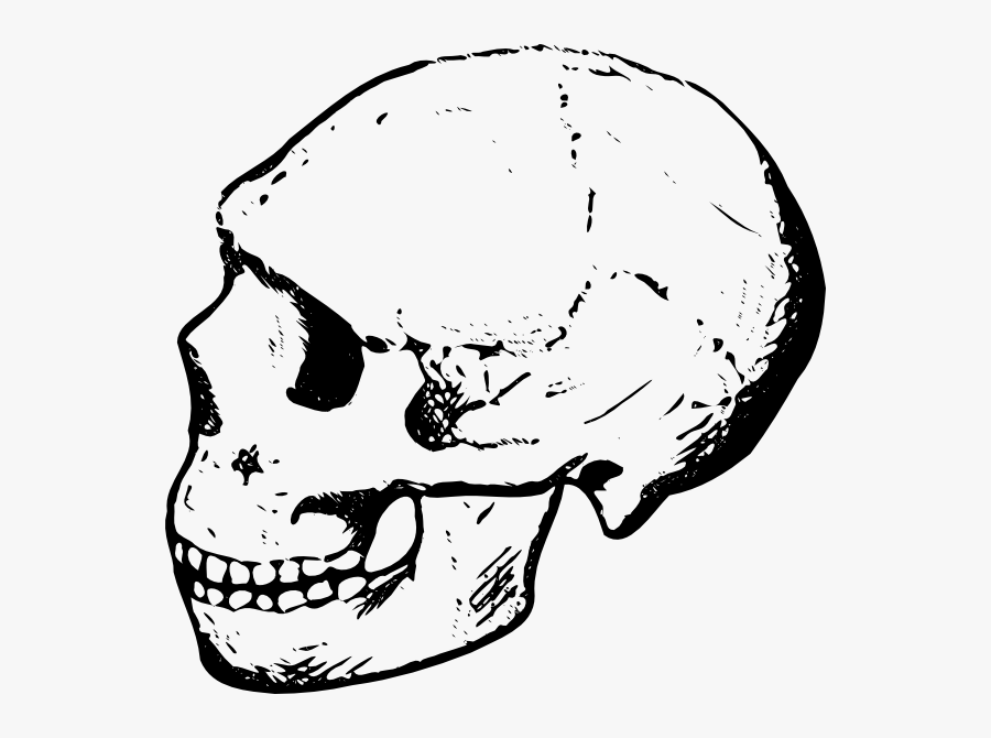 Human Skull Black And White Clipart, Transparent Clipart