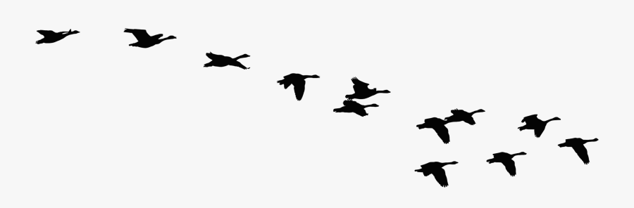 Flock Of Flying Geese Silhouette Icons Png - Geese Flying Silhouette, Transparent Clipart