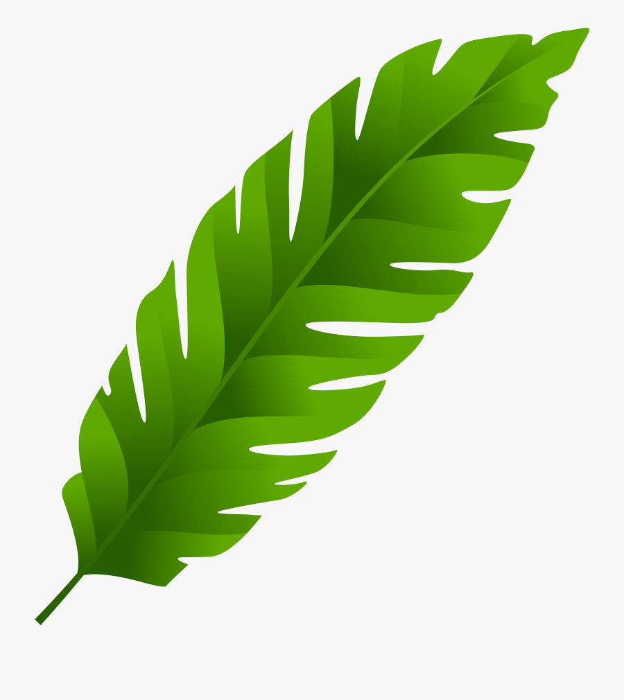 Green Leaf Png Clip Art, Transparent Clipart